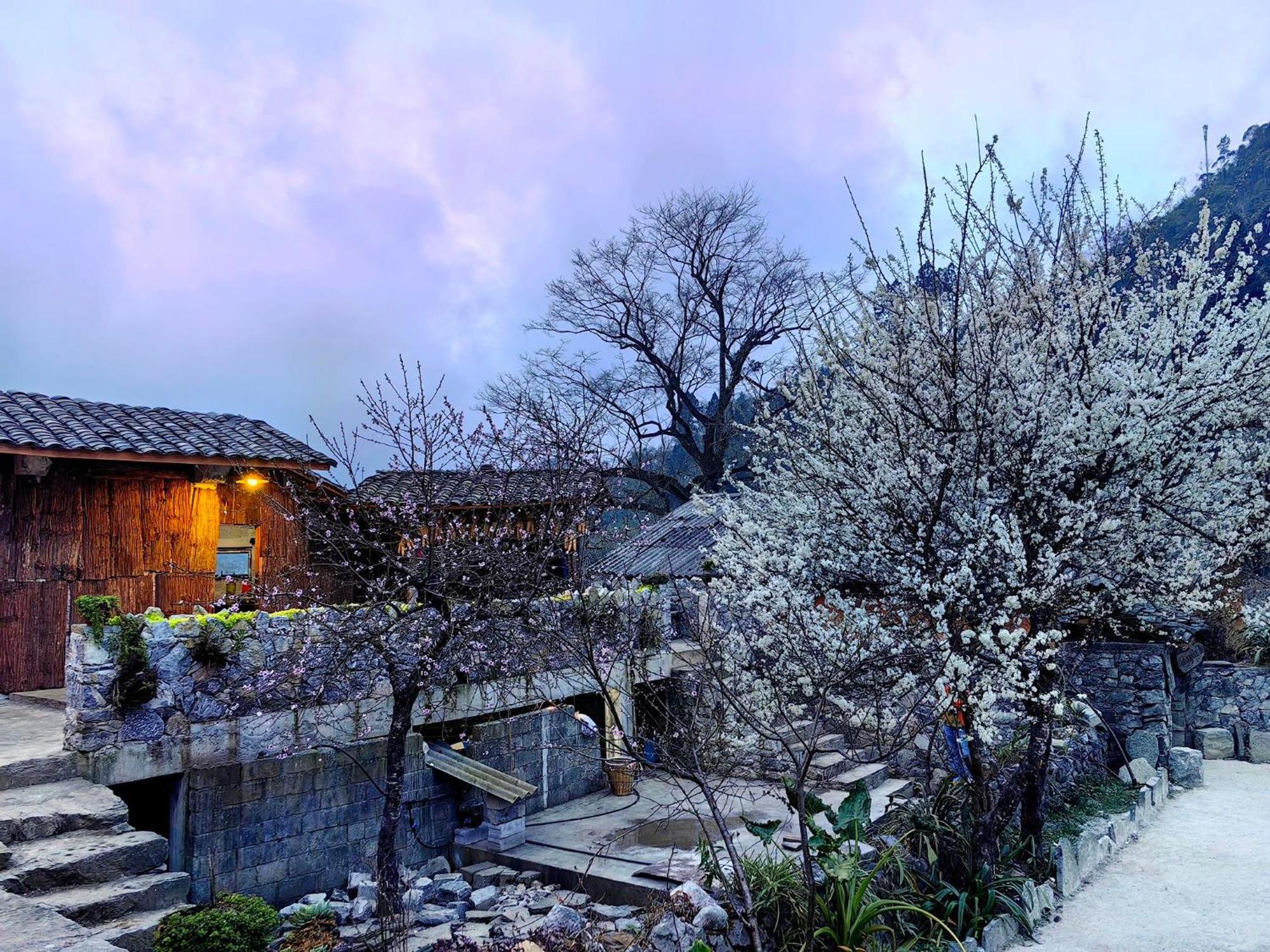 Nha Co Lao Xa Homestay Hmong & Bungalow Air Conditioner Dong Van  Dış mekan fotoğraf