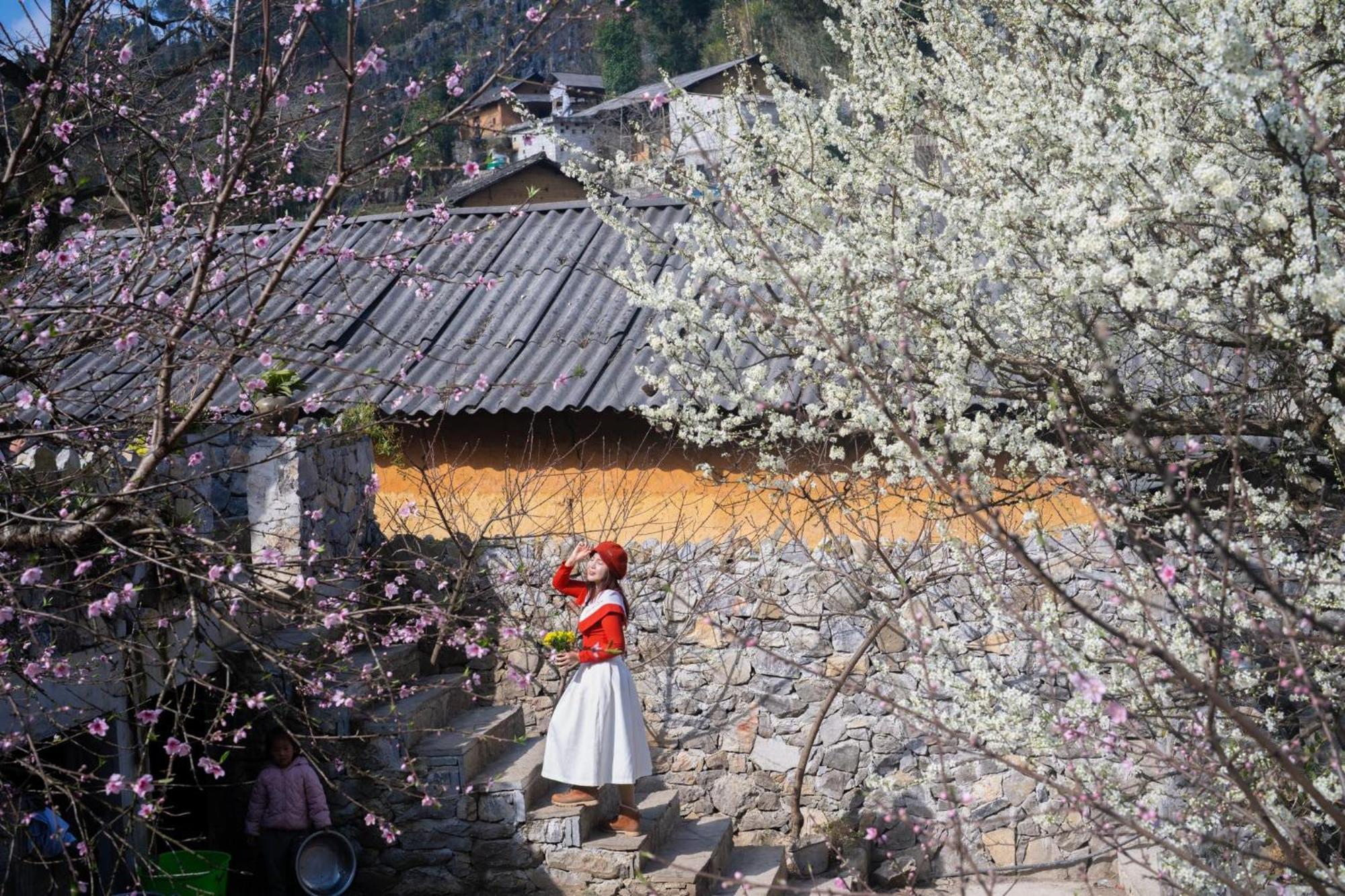 Nha Co Lao Xa Homestay Hmong & Bungalow Air Conditioner Dong Van  Dış mekan fotoğraf