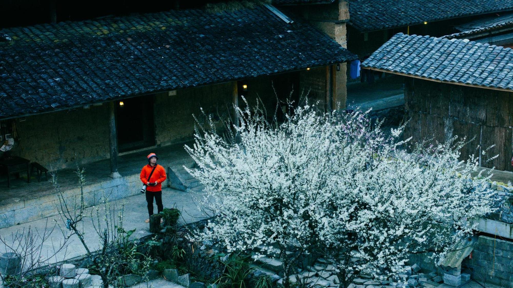Nha Co Lao Xa Homestay Hmong & Bungalow Air Conditioner Dong Van  Dış mekan fotoğraf