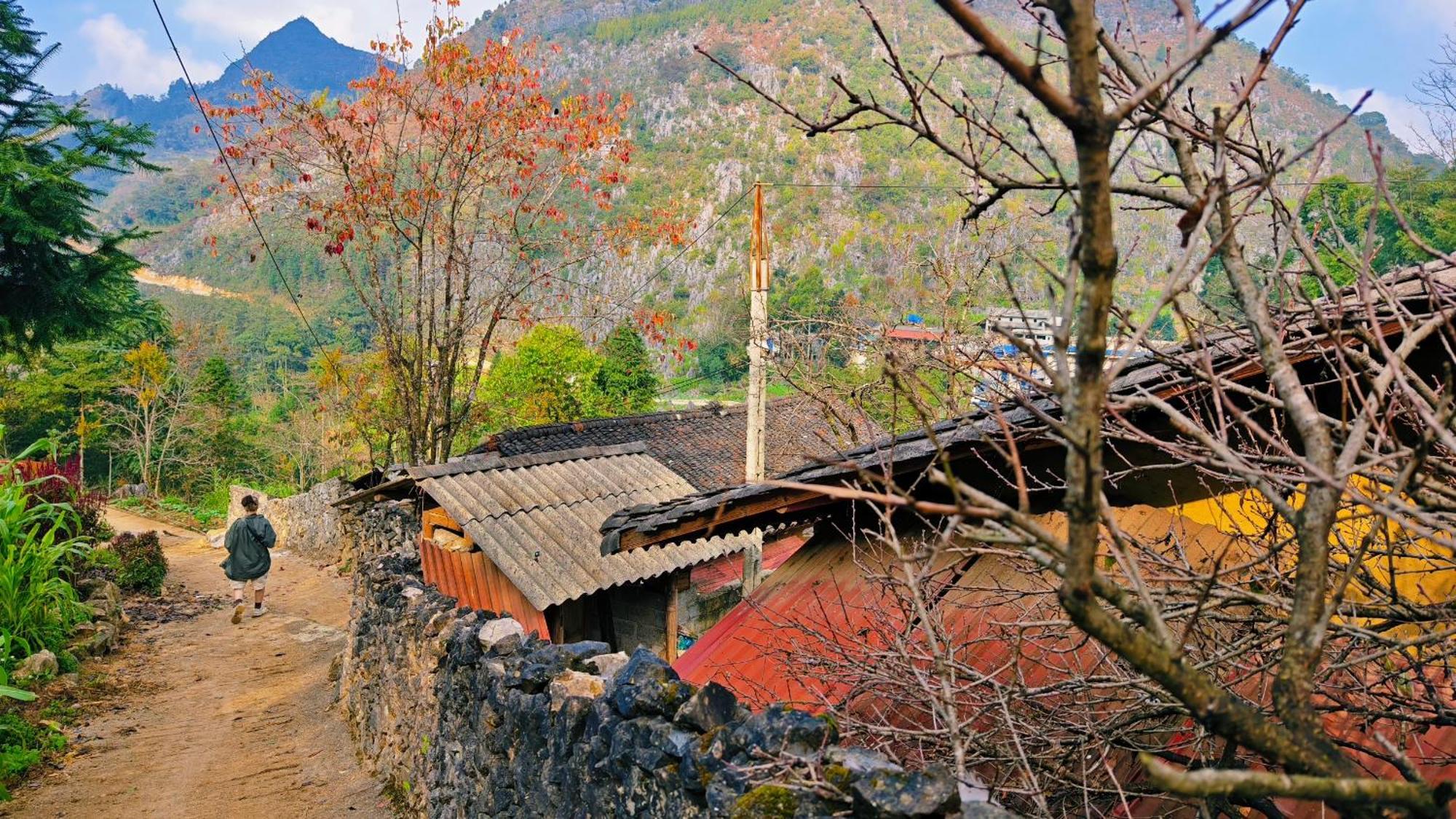 Nha Co Lao Xa Homestay Hmong & Bungalow Air Conditioner Dong Van  Dış mekan fotoğraf